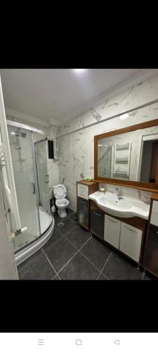 e bagno con servizi igienici, lavandino e doccia. di Kadıköy Holiday Home a Istanbul