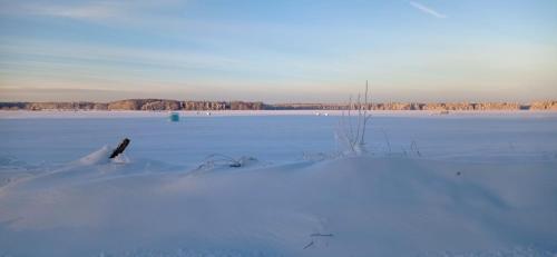 a snow covered field with trees in the background at Apartmány Benátky in Suchdol nad Lužnicí