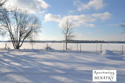 a snow covered field with trees and a fence at Apartmány Benátky in Suchdol nad Lužnicí