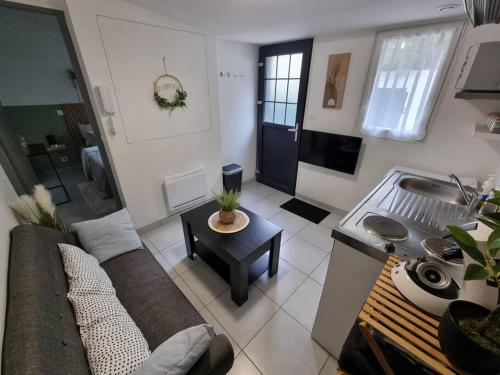 ein Wohnzimmer mit Couch und Tisch in der Unterkunft Agréable Logement / Netflix in Saint-Pierre-des-Corps