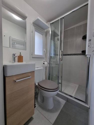 une salle de bain avec toilettes, douche et lavabo dans l'établissement Agréable Logement / Netflix, à Saint-Pierre-des-Corps