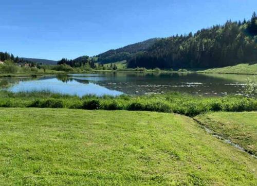 a view of a river with a grass field at Appartement Terrasse 4 personnes in Les Rousses