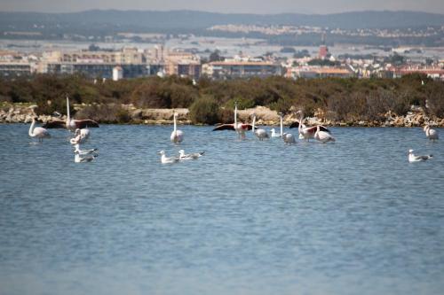 Gallery image of Hotel El Marino in Santiago de la Ribera