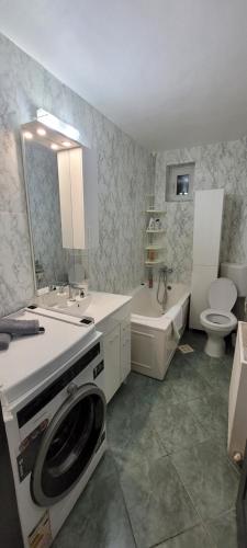 a bathroom with a washer and a sink and a toilet at Studio BDN in Sîngeorgiu de Mureş