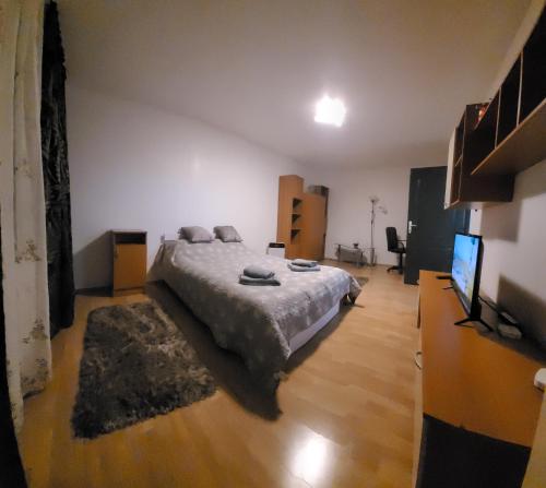 a bedroom with a bed and a flat screen tv at Studio BDN in Sîngeorgiu de Mureş