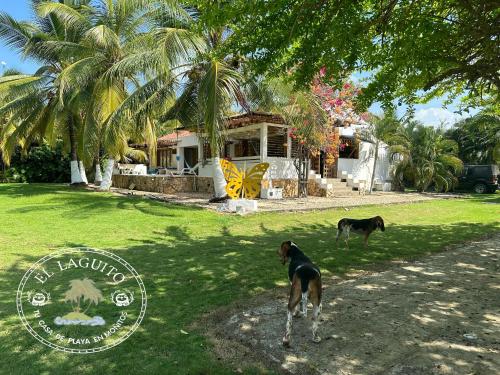 Mascotas con sus dueños en Casa de Playa Laguito Shangai