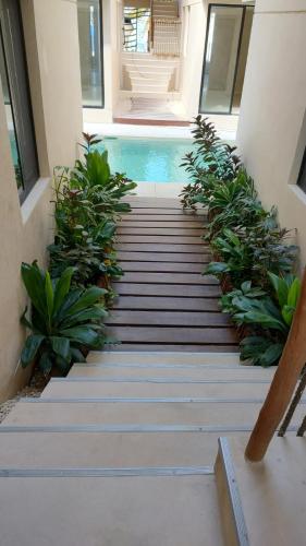a staircase leading to a swimming pool with plants at Chicxulub hermoso in Chicxulub