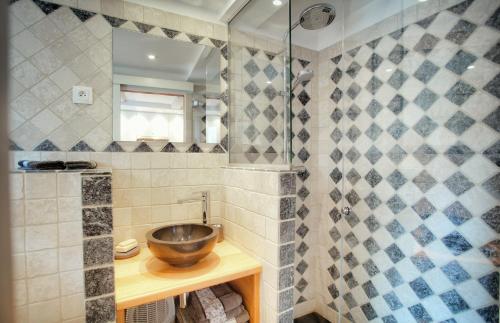 ein Bad mit einem Waschbecken und einer Dusche in der Unterkunft Le Jardin du Village - Valbonne in Valbonne
