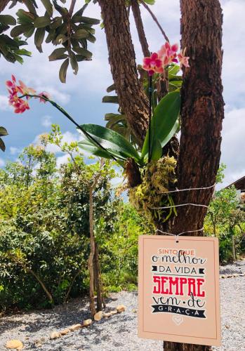 a sign in front of a tree with flowers at Flat Safira com hidro - Chapada dos Veadeiros in Alto Paraíso de Goiás