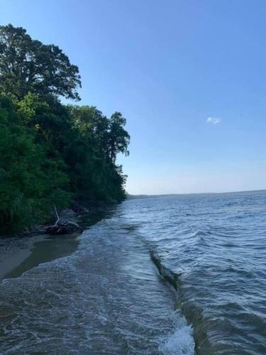 a body of water with trees on the shore at Chesapeake Holiday House in Port Republic