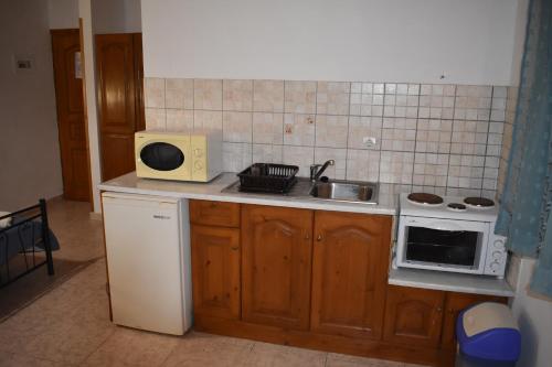a small kitchen with a sink and a microwave at Hector's Studios in Alikanas