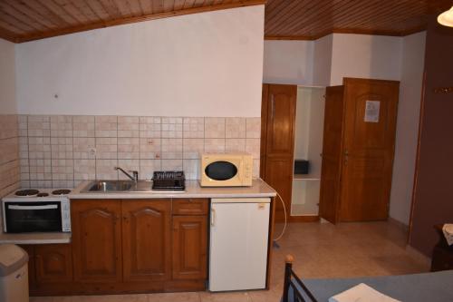 a kitchen with a sink and a microwave at Hector's Studios in Alikanas