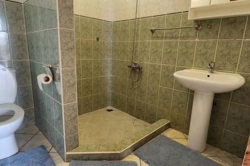 W łazience znajduje się prysznic, umywalka i toaleta. w obiekcie Vaiana Home 2 - bord de lagon w mieście Taputapuapea