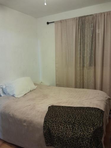 Dormitorio con cama con ventana y almohada con estampado de leopardo en Casa Blanca, en Saltillo