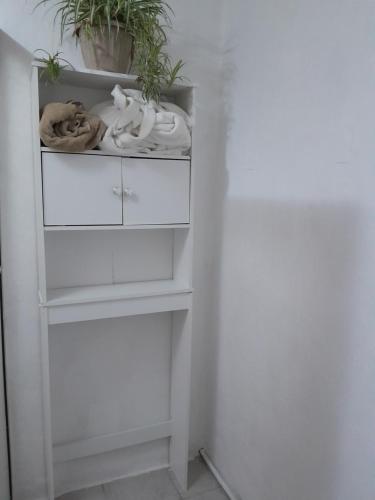 una mensola bianca in una stanza con una pianta di Casa Blanca a Saltillo