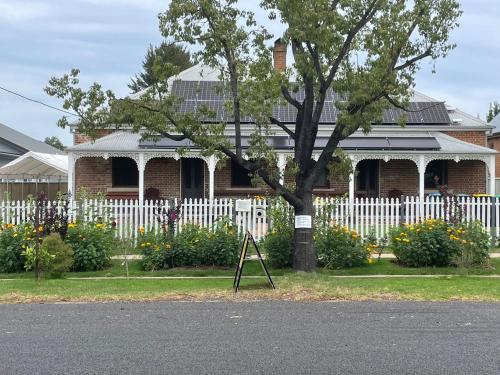 a house with a white fence and a tree at A Homestead on Market in Mudgee