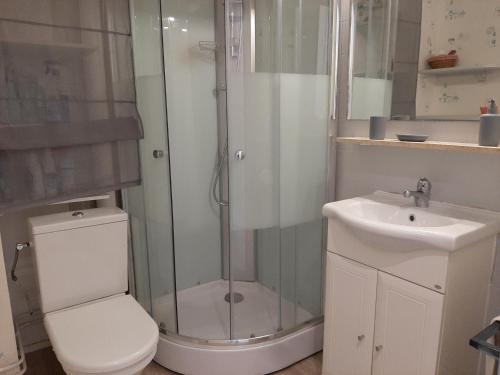 Et badeværelse på Appartement Seignosse, 1 pièce, 2 personnes - FR-1-239-437