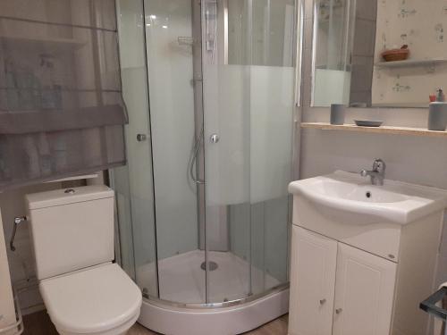 une salle de bain avec une douche, des toilettes et un lavabo dans l'établissement Studio cosy proche océan et commerces, parfait pour des vacances à deux! - FR-1-239-437, à Seignosse