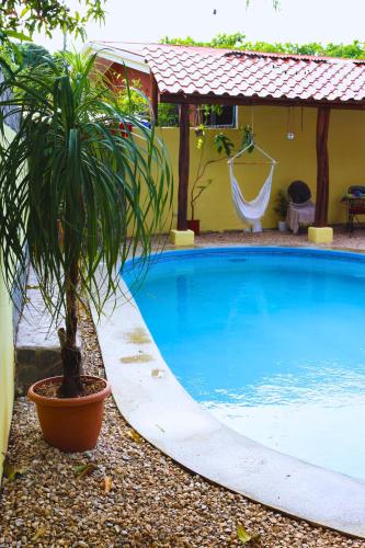a swimming pool with a palm tree next to a house at Coconut Beach House in Playa Conchal