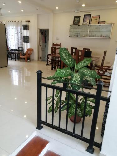 uma planta sentada num corrimão num átrio em Five Bed two-storey luxury House in 44 perch land in Bandaragama, Sri Lanka em Bandaragama