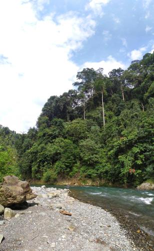 a river in front of a mountain with trees at Villa di Bukit Lawang: LocalDailyLife, near Jungle in Bukit Lawang