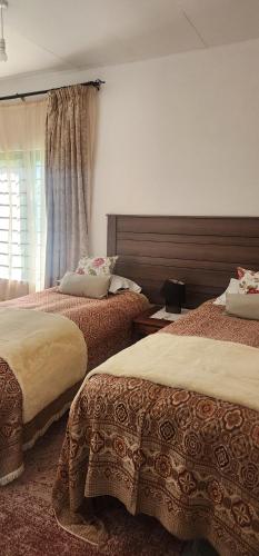 a hotel room with two beds and a window at Treegate HMS Gardens in Lusaka