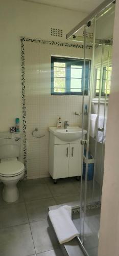 y baño con aseo, lavabo y ducha. en Treegate HMS Gardens en Lusaka