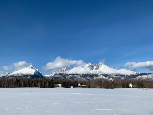 a snow covered mountain range in front of a frozen lake at Apartment Harmony - Tatranska Lomnica, Javorinka in Tatranská Lomnica