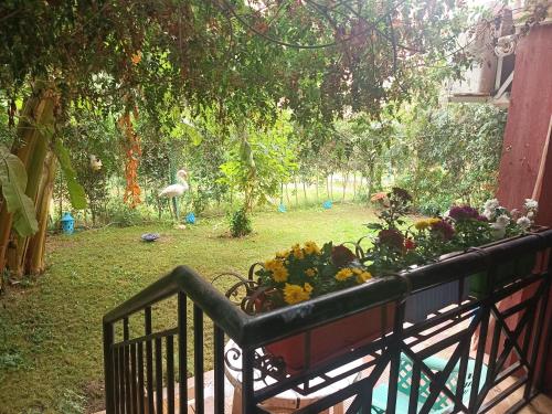 a bench with flowers and a bird in a yard at Hotel apartment in Sheikh Zayed City in Sheikh Zayed