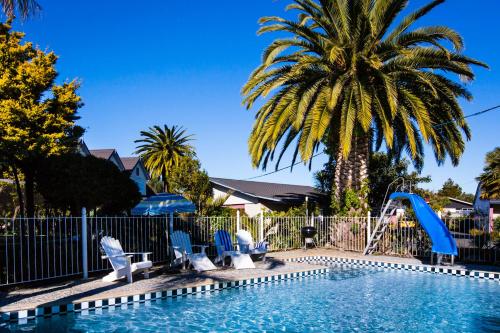 a swimming pool with a palm tree and a slide at ASURE Colonial Lodge Motel in Napier