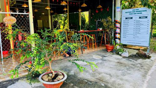 un árbol en maceta en una olla delante de un edificio en Cat Tien Backpackers Hostel, en Cát Tiên