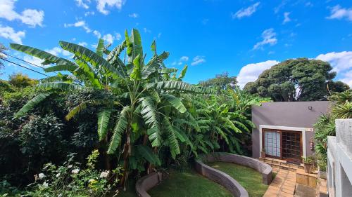 un jardin en face d'une maison avec un palmier dans l'établissement 7th Street Guesthouse, à Johannesbourg