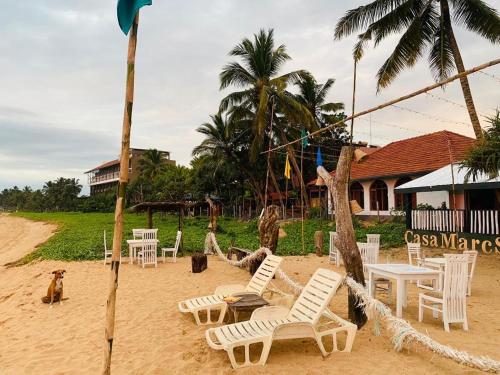 a group of chairs and tables on a beach at New Casamarc in Bentota