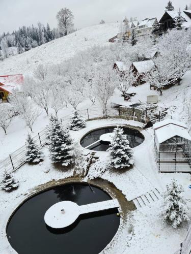 Gallery image of Pensiunea Alpin in Durau