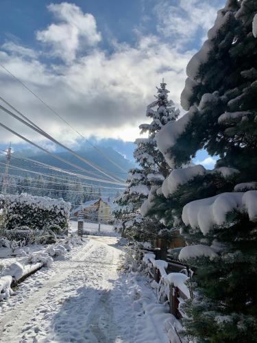 Gallery image of Pensiunea Alpin in Durau