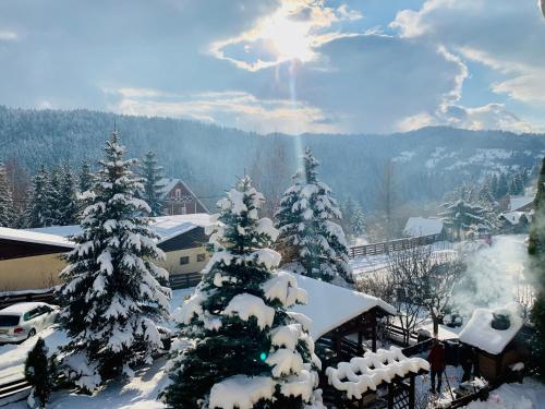 Gallery image of Pensiunea Alpin in Durau