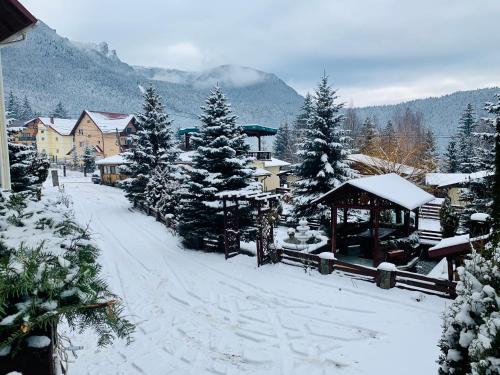 Gallery image of Pensiunea Alpin in Durau