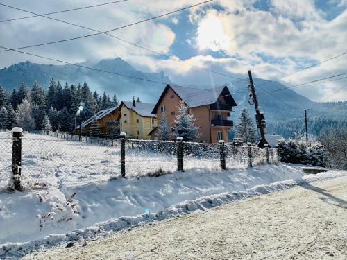 Gallery image of Pensiunea Alpin in Durau