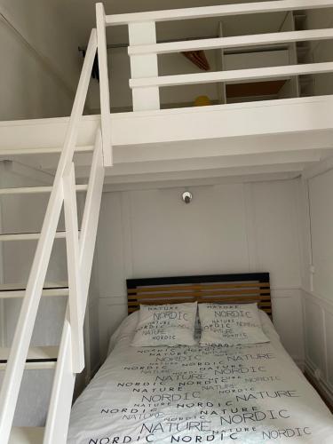 a bed in a room with a loft bed at Charmant appartement T2 plein centre ville in Saint-Brieuc