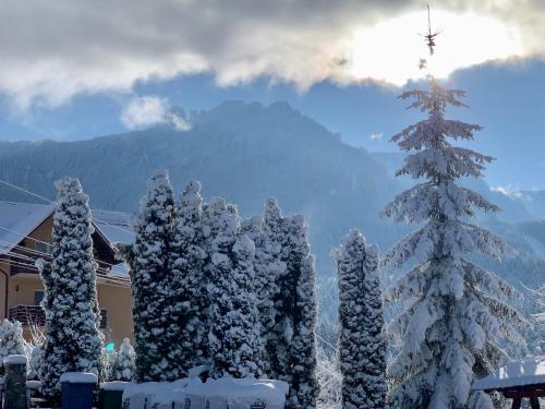 Gallery image of Pensiunea Alpin in Durau