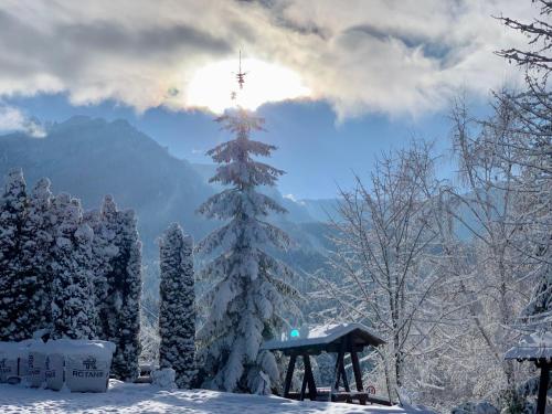 Gallery image of Pensiunea Alpin in Durau