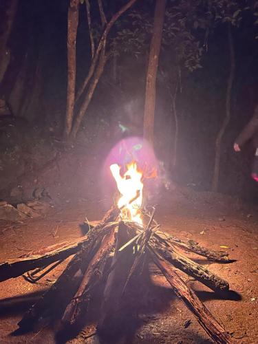 Φωτογραφία από το άλμπουμ του WildRock Camps Tangalle 