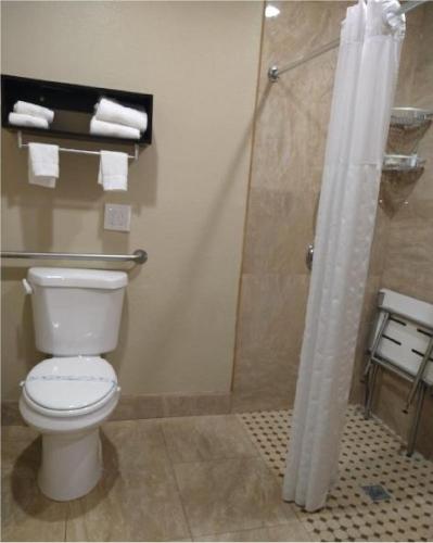 a bathroom with a toilet and a shower stall at Howard Johnson by Wyndham Santa Cruz in Santa Cruz