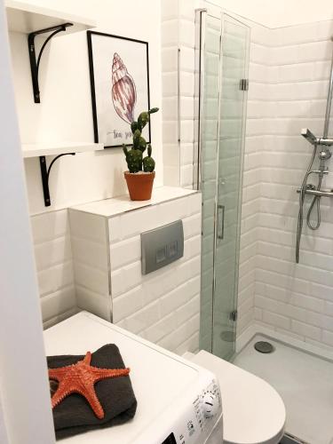 a bathroom with a shower and a starfish on a stool at MYE Apartments - Kamienica Sienkiewicza in Łódź