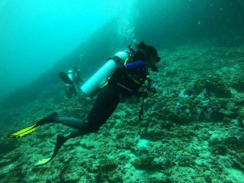 a person is scuba diving in the ocean at Manta Sea View Himandhoo in Himandhoo 
