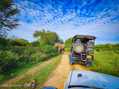 an elephant walking down a dirt road next to a vehicle at Yoma Wild Hotel in Udawalawe