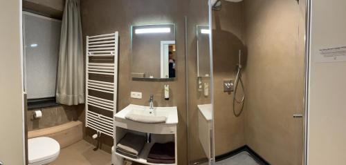 a bathroom with a sink and a shower and a toilet at Logis Hotel Du Midi in La Roche-en-Ardenne