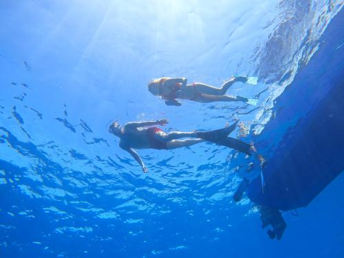 two people are swimming in the water at Manta Sea View Himandhoo in Himandhoo 