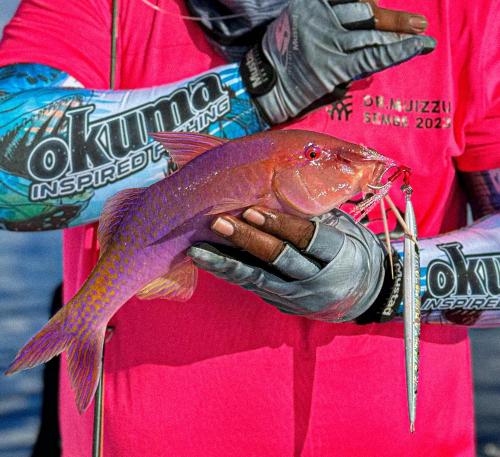 a woman holding a fish on a fishing lure at Manta Sea View Himandhoo in Himandhoo 