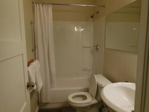 a bathroom with a toilet and a shower and a sink at Kent Motel in Chatham